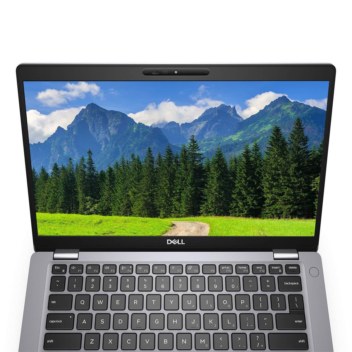 Dell Latitude 5411 14" 16GB 256GB SSD Core™ i5-10400H 2.6GHz WIN11P, Platinum Silver (Refurbished - Excellent)
