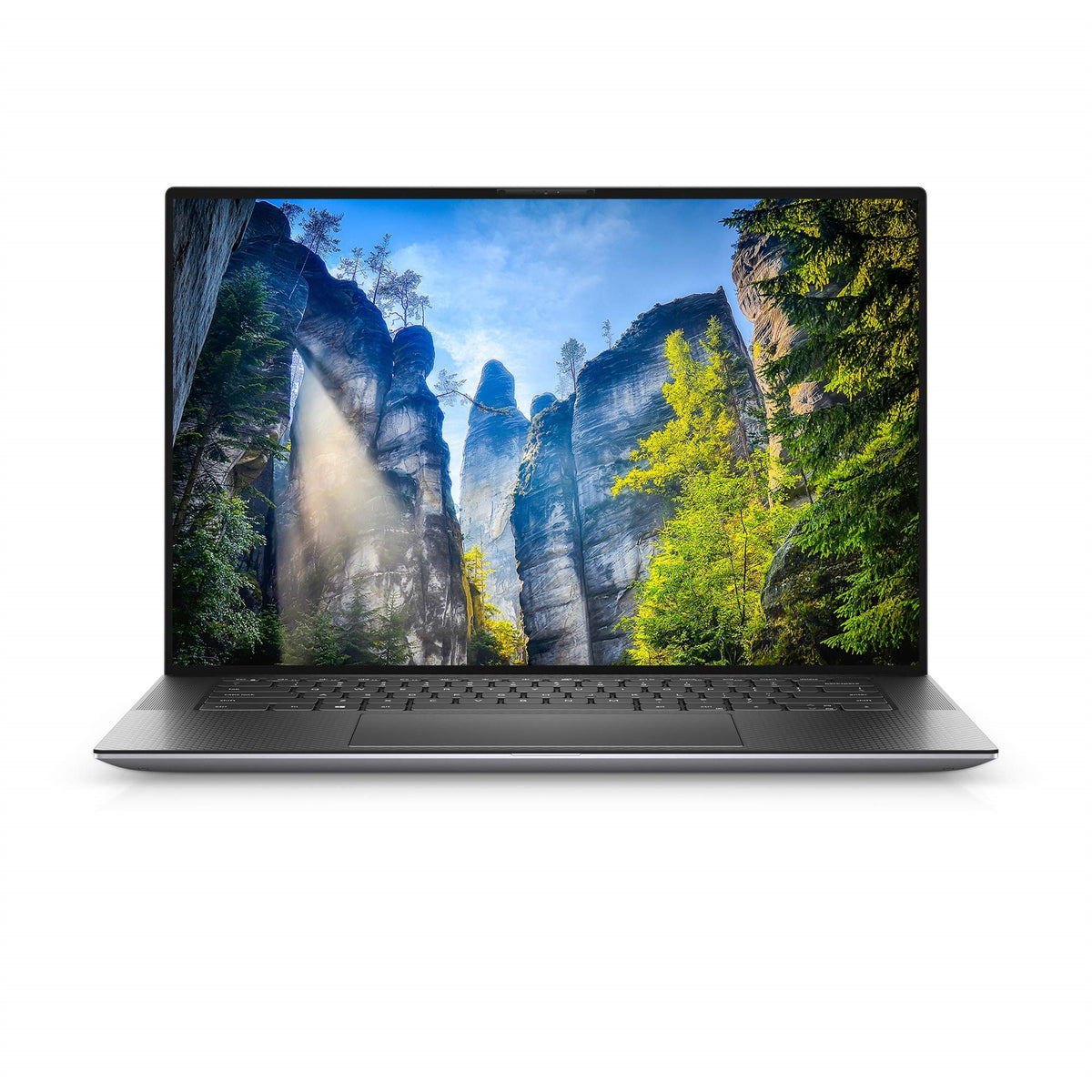 Dell Precision 5550 15.6" 16GB 1TB SSD Core™ i7-10850H 2.7GHz WIN11P, Platinum Silver (Refurbished - Premium)
