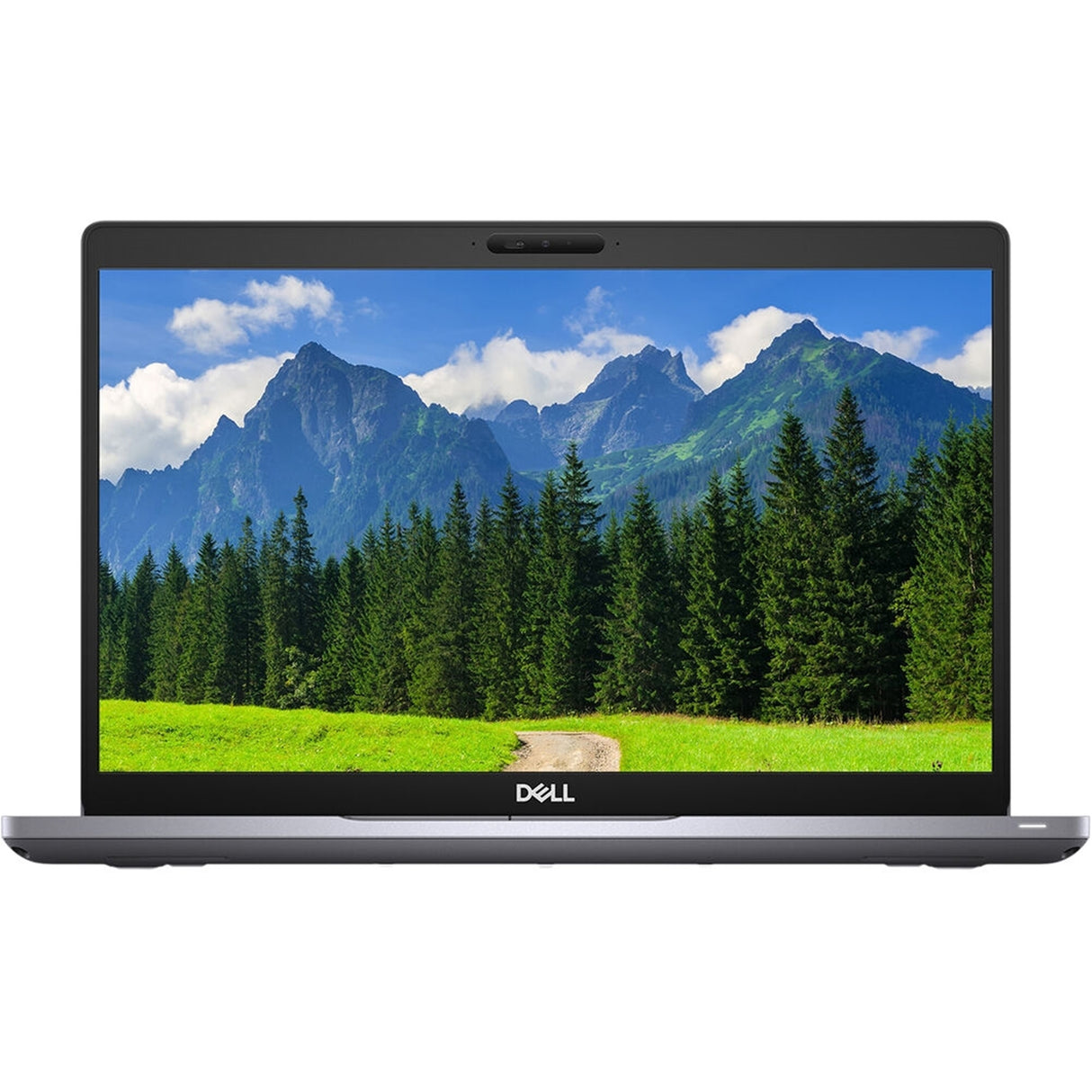 Dell Latitude 5410 (14", 16GB, 256GB SSD, i5-10310U 1.7GHz) Win11P, Silver (Refurbished - Fair)