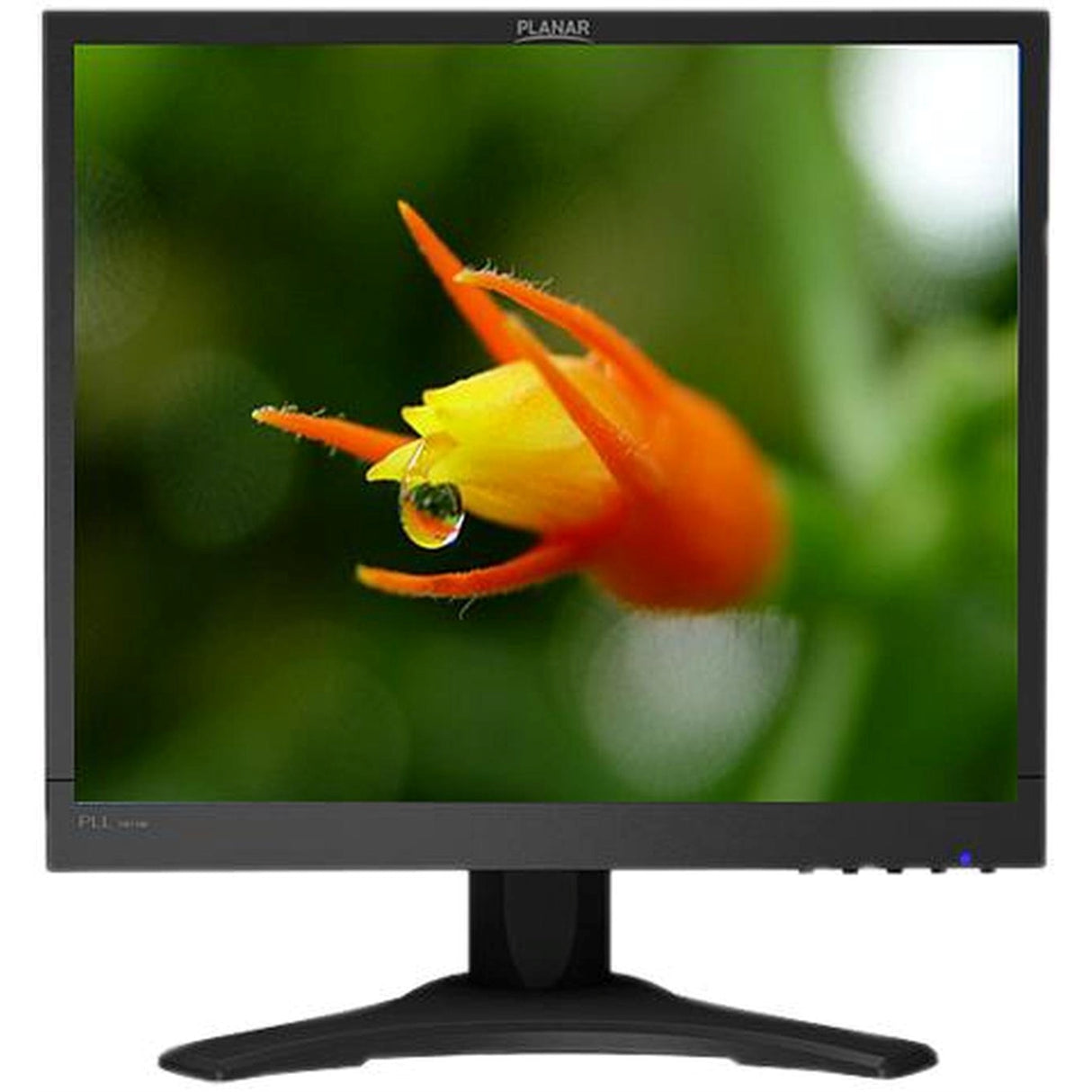 Planar PLL1911M 19" 1280x1024 60Hz 5ms DVI-D VGA Built-in Speakers IPS Edge-Lit LED LCD Monitor (New, Open Box)