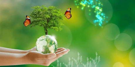 Wisetek Celebrates Earth Day 2022