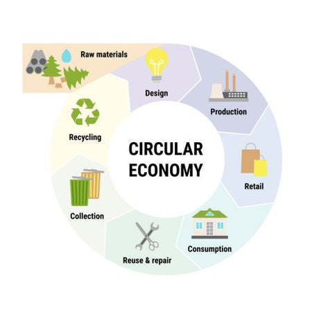 The Pros and Cons of a Circular Economy Model