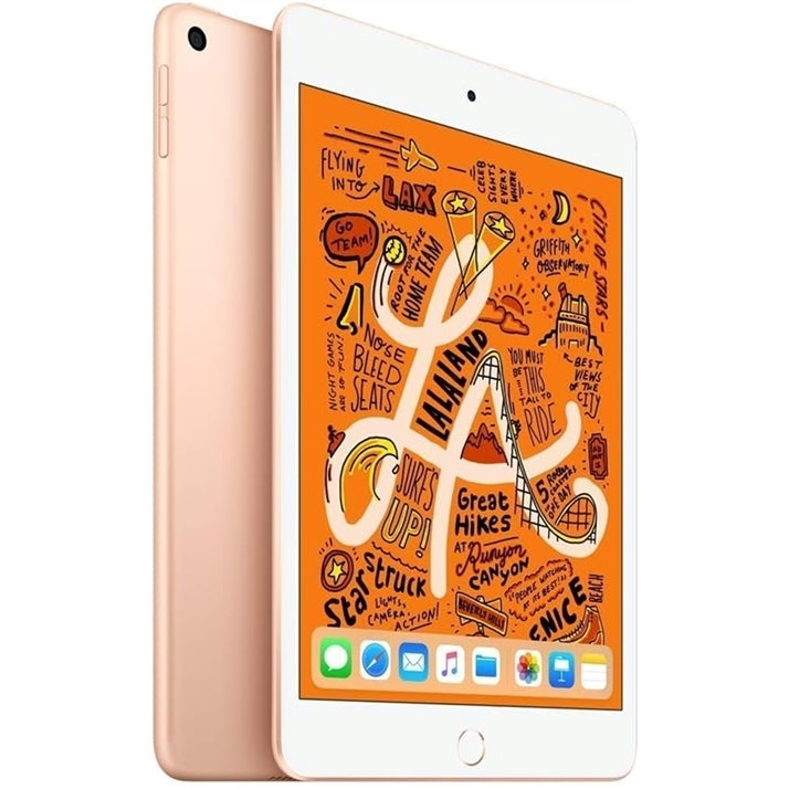 Apple iPad Mini 5th Gen 7.9" - 64GB, WiFi, Gold (Refurbished - Fair)