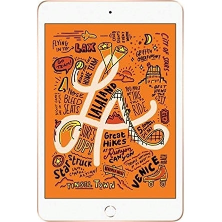 Apple iPad Mini 5th Gen 7.9" - 64GB, WiFi, Gold (Refurbished - Fair)