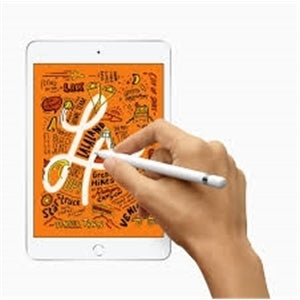 Apple iPad Mini (5th generation) MUU52LL/A 7.9" Tablet 256GB WiFi, Silver (Refurbished - Very Good)