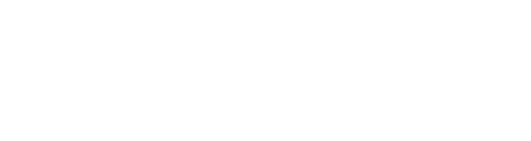 Wisetek Market